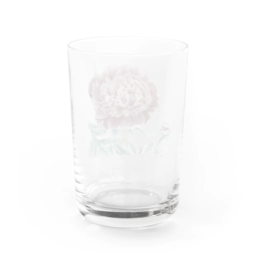 kerokoro雑貨店の芍薬・しゃくやく Water Glass :back