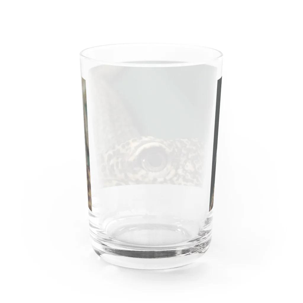 ちゃんねるおミズのおミズぐっず(マングローブモニター) Water Glass :back