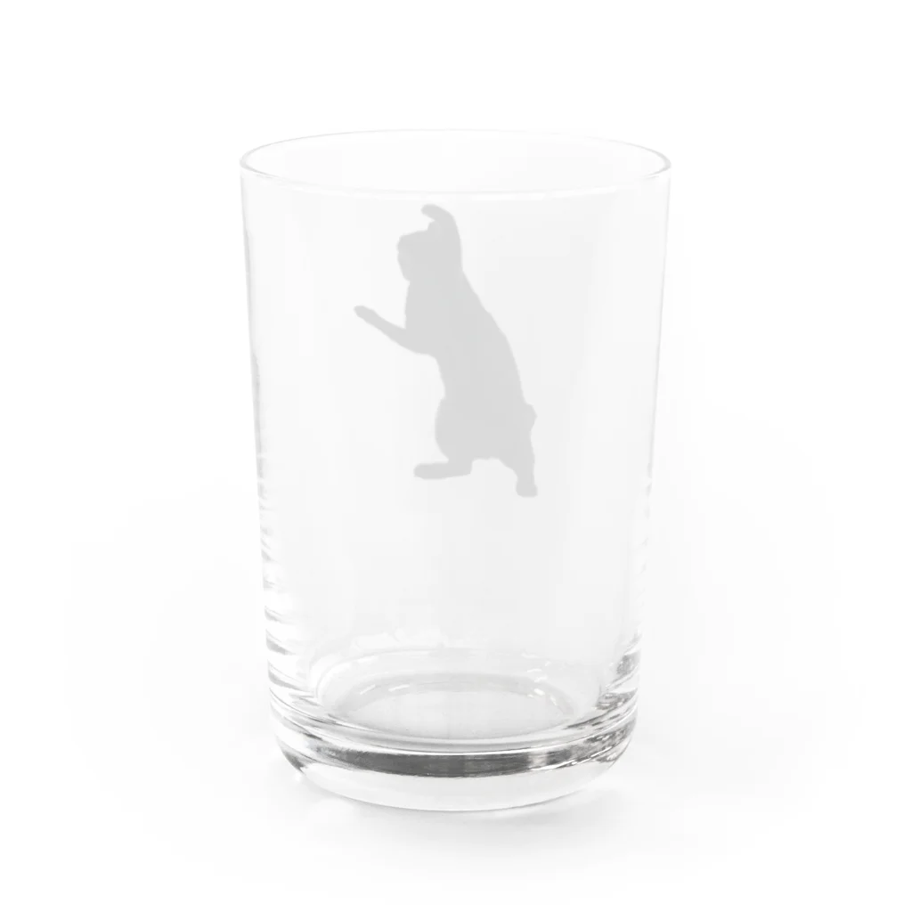 あめちゃんの逆光のあめちゃん Water Glass :back