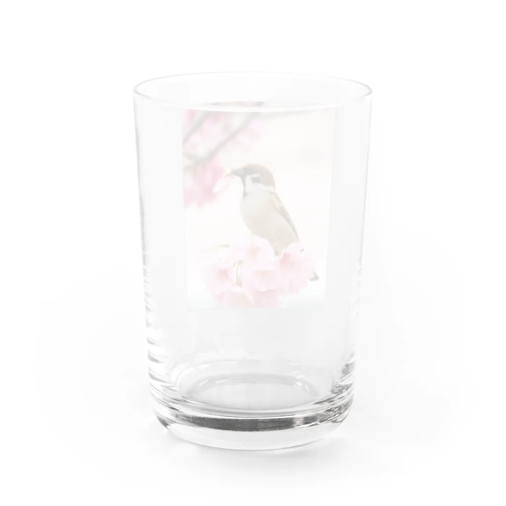 Toritorizmの桜スズメ Water Glass :back