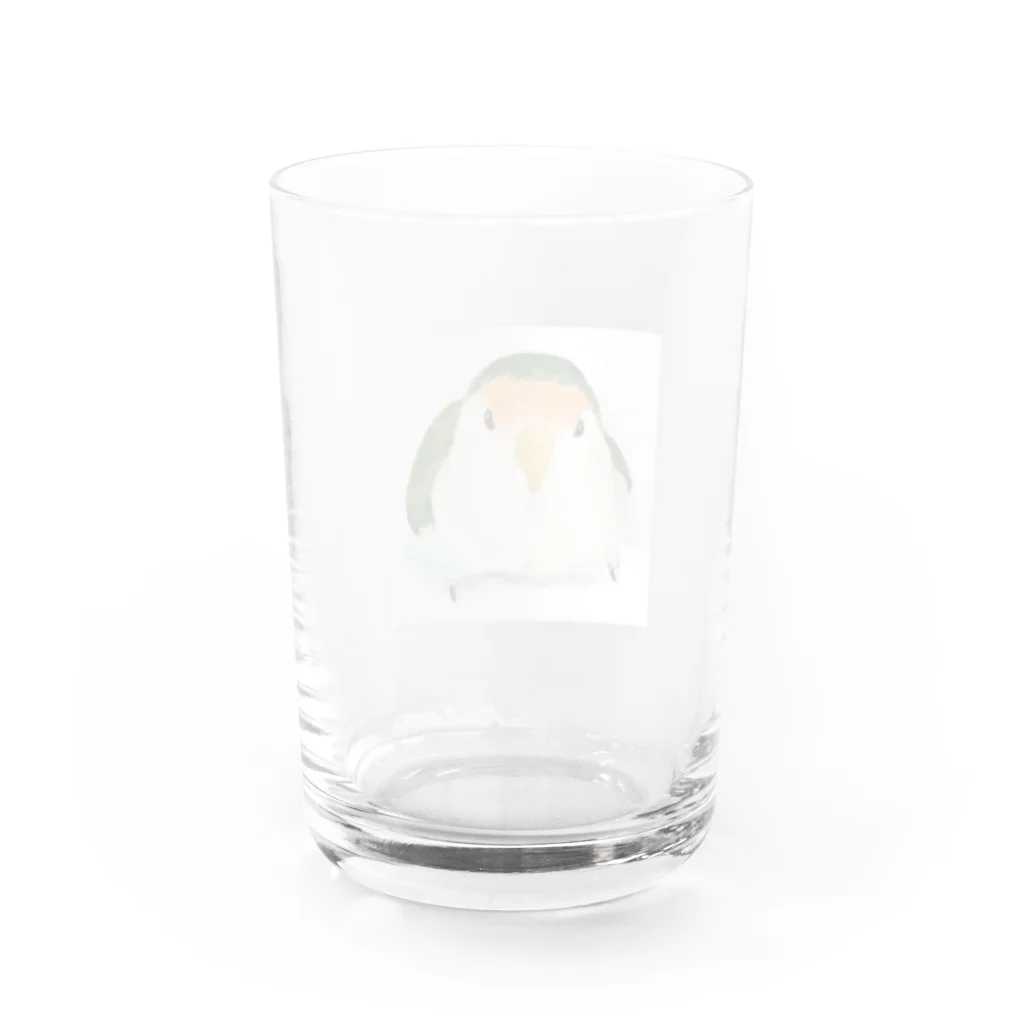 水色堂の見上げる丸いコザクラインコ Water Glass :back