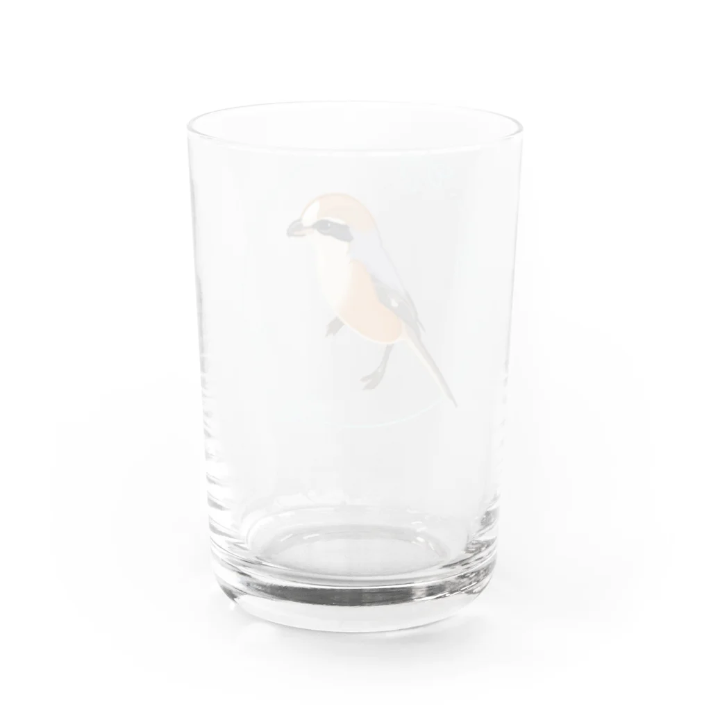 やちよ｜リアル鳥イラストのモズさん Water Glass :back