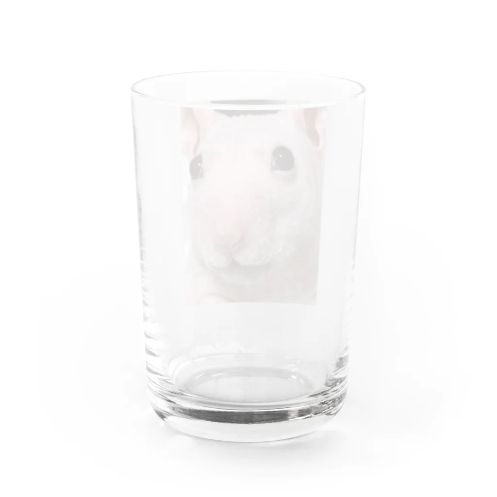 川沼池兄弟妹グッズの桃谷グラス Water Glass :back