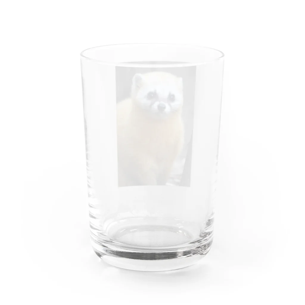 sw950502のホンドテン Water Glass :back