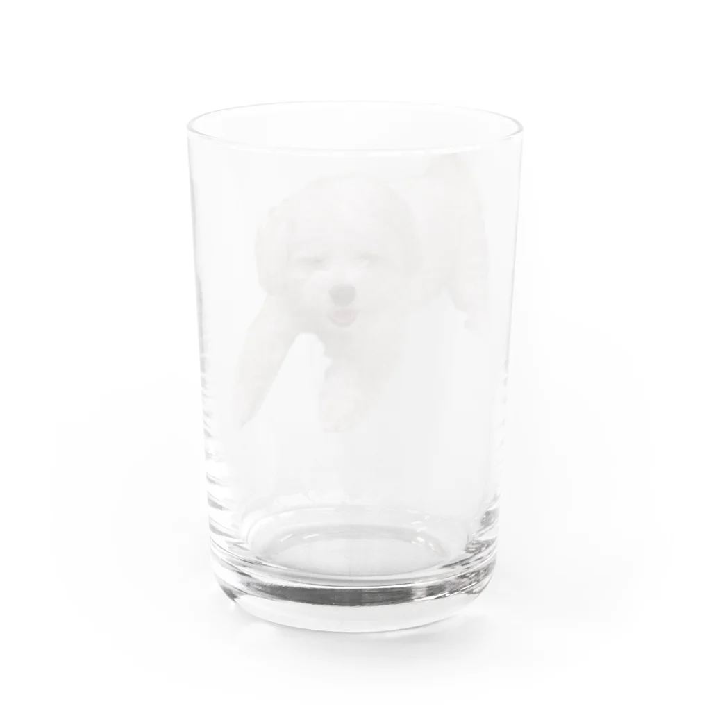 うちの犬のグッズの幸せそうな顔のいぬ Water Glass :back