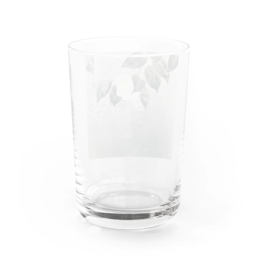 mothofthesunの白椿 Water Glass :back