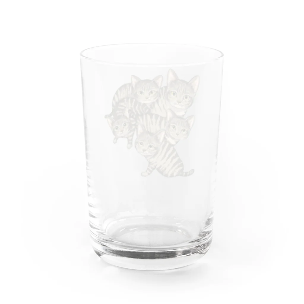 縁-yukari-のキジトラ軍団 Water Glass :back