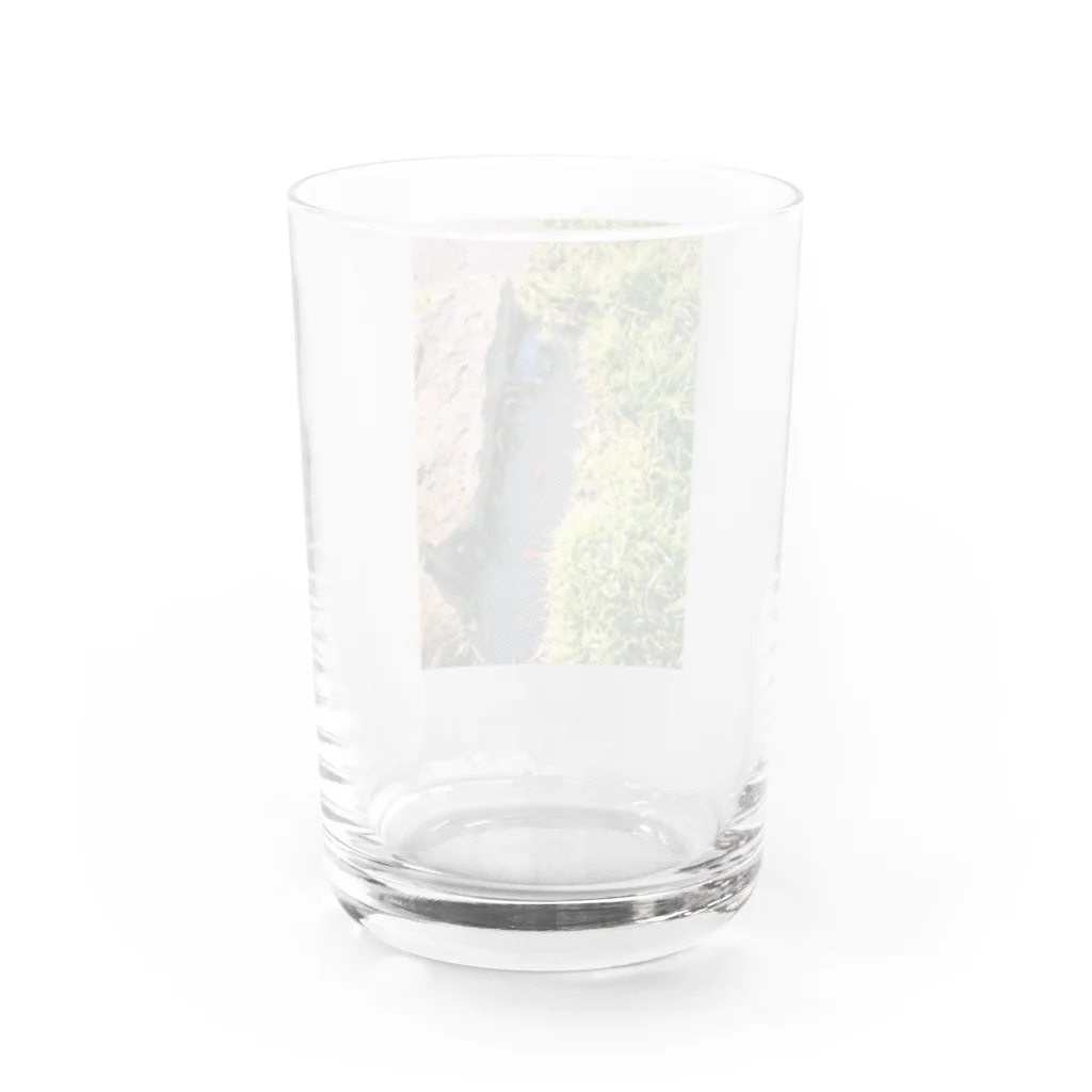 mcyのThe point Water Glass :back