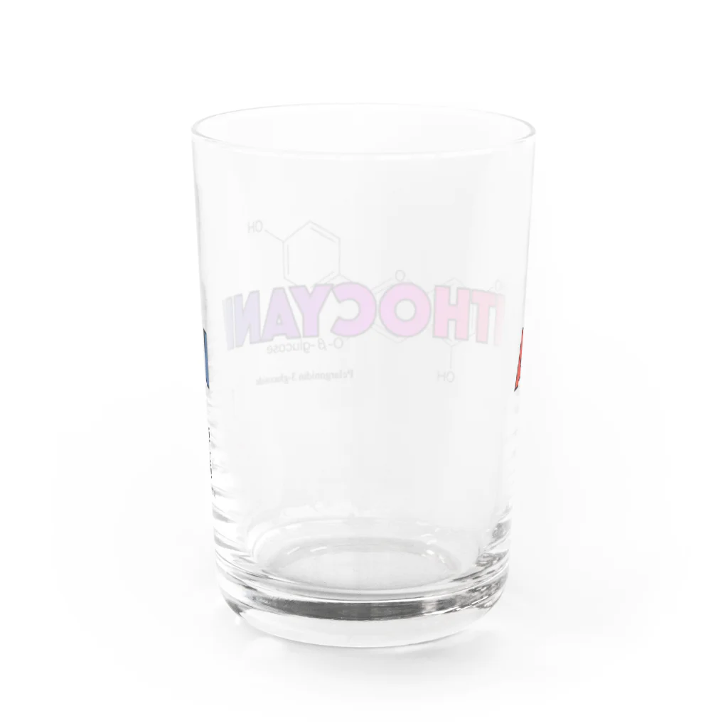 KNOWフードラジオのアントシアニン×化学構造式（Tシャツ；淡色） Water Glass :back