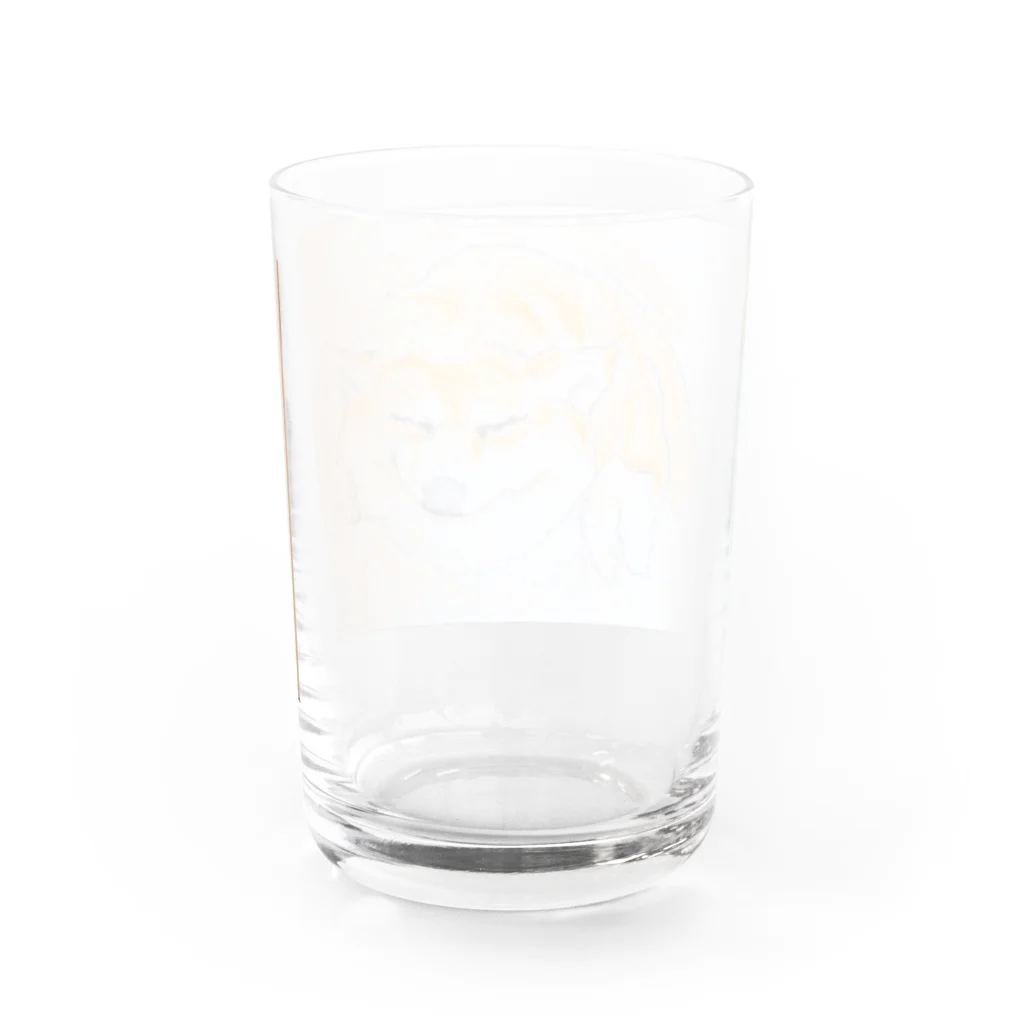 癒やし隊の柴犬 Water Glass :back