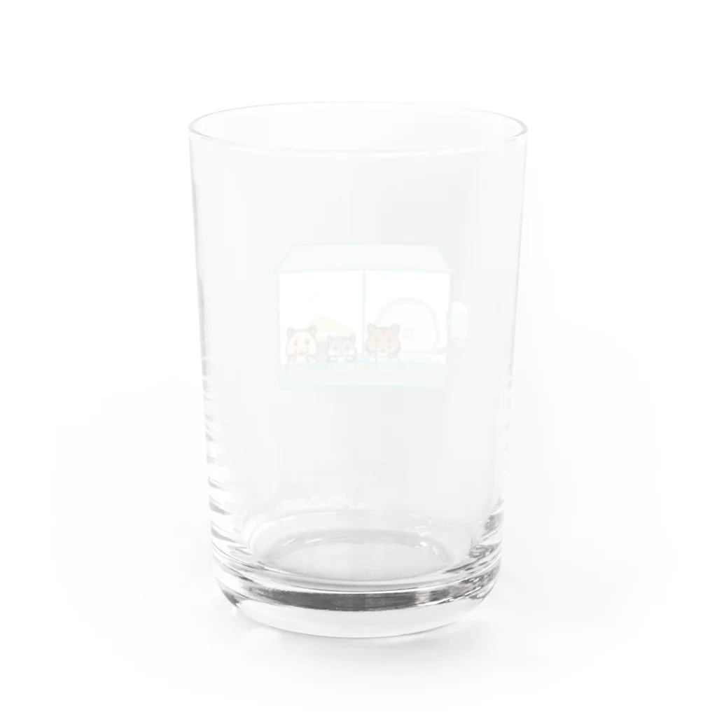 MAYAのお家ハムスターズ Water Glass :back