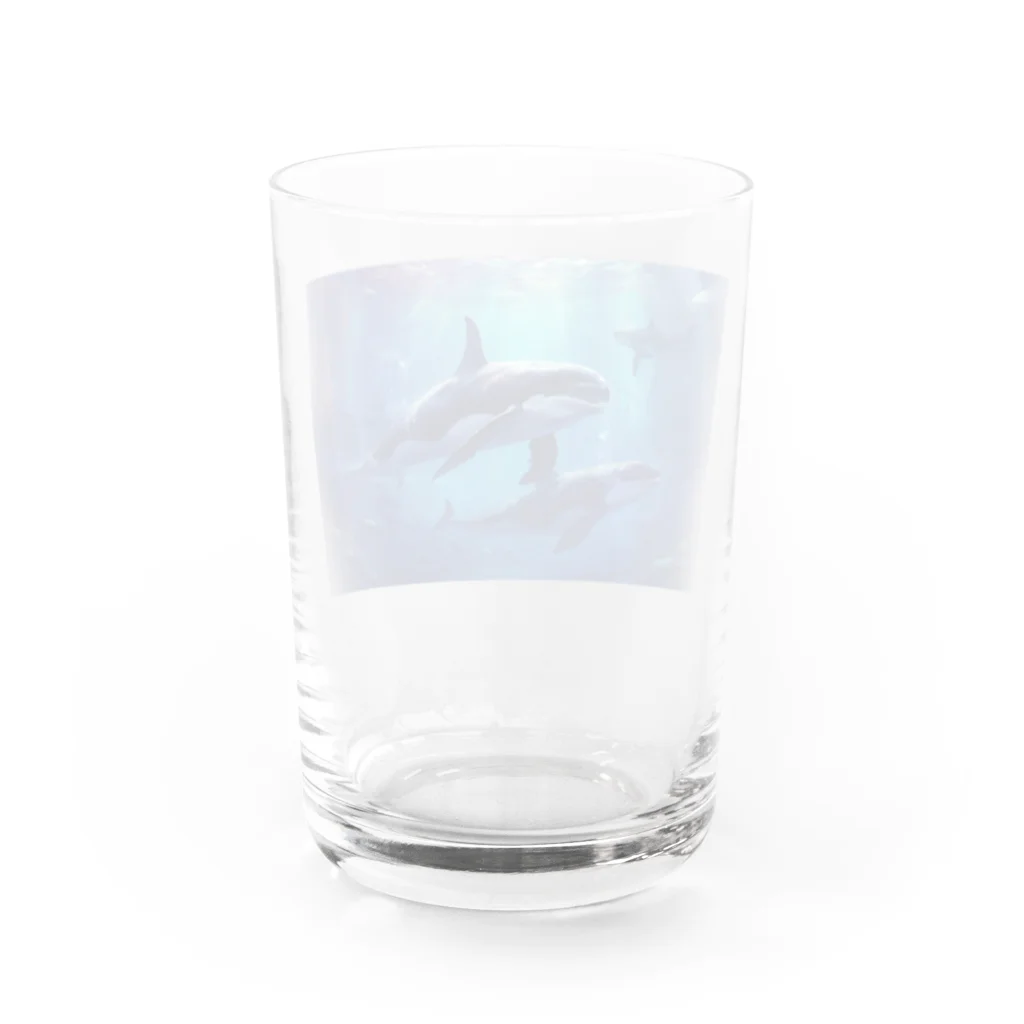 soeluのシャチと深海 Water Glass :back