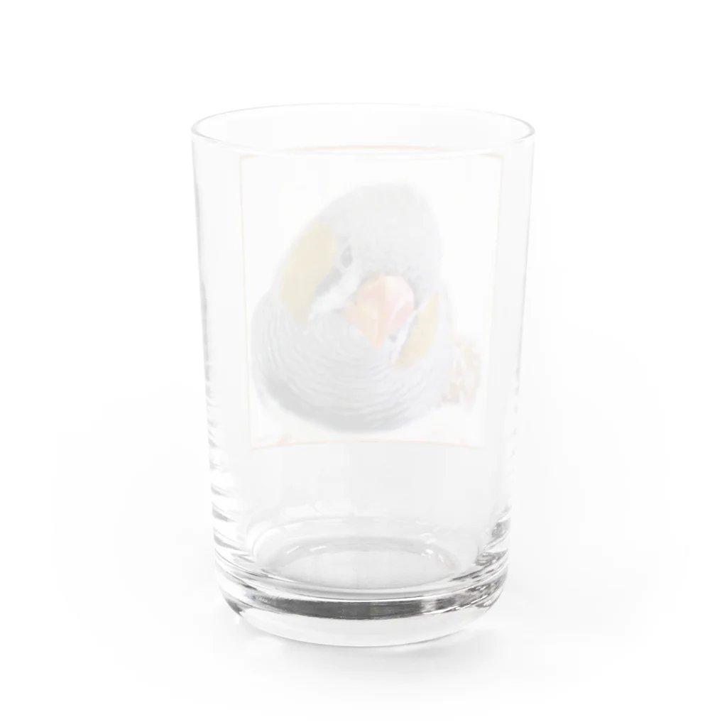 だが屋のいんすたばえ Water Glass :back