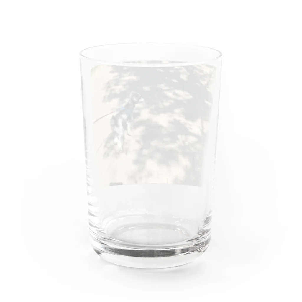 愛犬のグッズの春 Water Glass :back