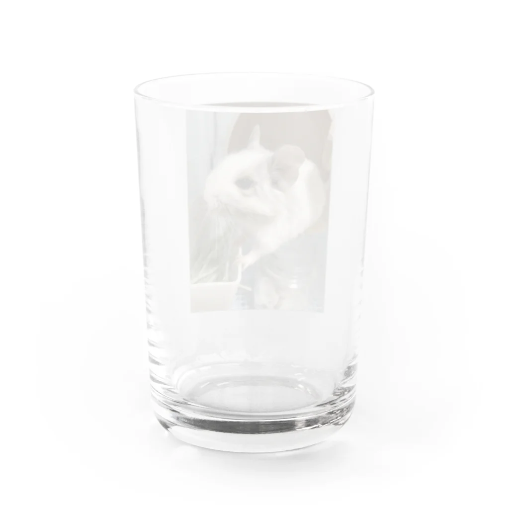 おまんぼさんのデグーのルークくん Water Glass :back