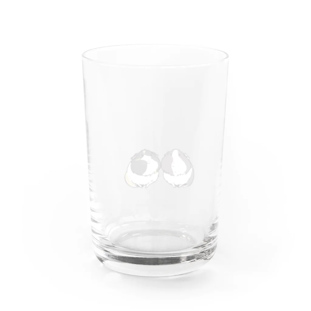 n_fderelicaのモルモットのごましおと伊達丸 Water Glass :back