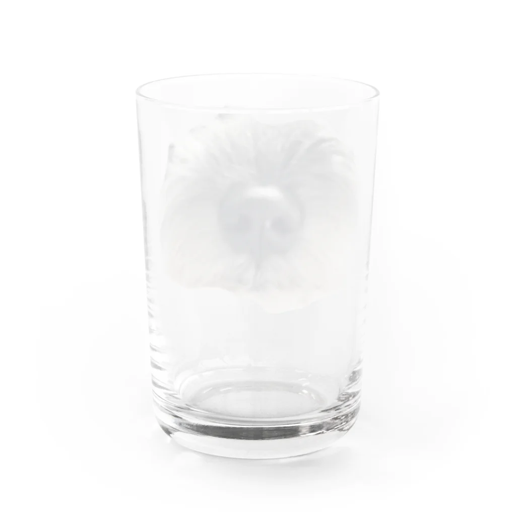 くらのきまぐれのももちゃんのはな Water Glass :back