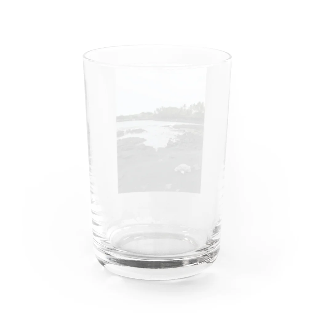 みちゅぱのハワイ島 ブラックビーチとウミガメ Water Glass :back