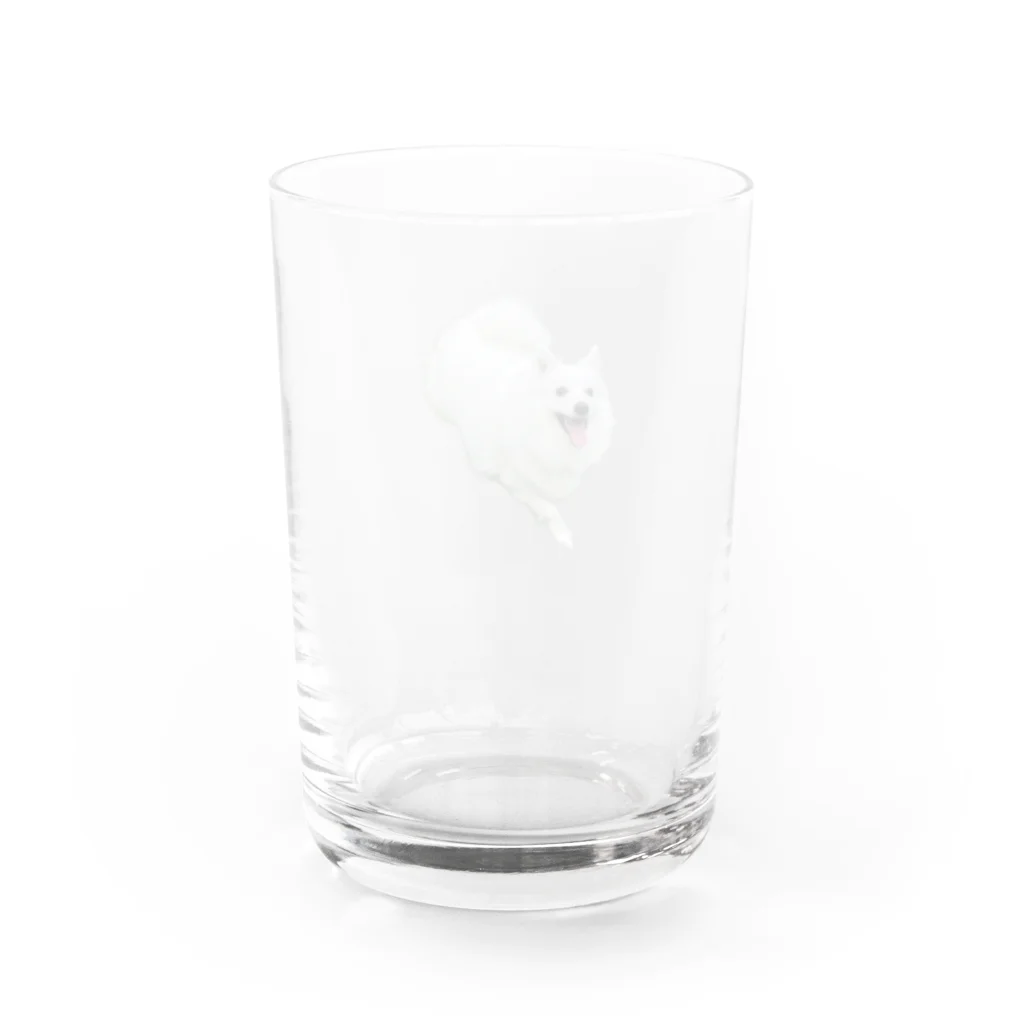 marospitzのしろいぬ Water Glass :back