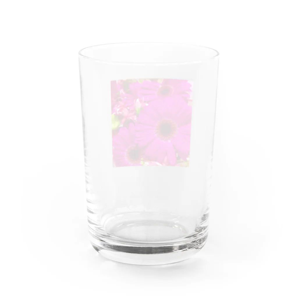 しまこのみせの花束 Water Glass :back