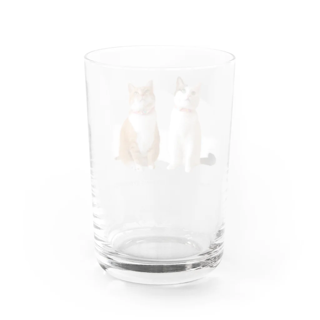 ナナちゃん・ポンちゃんのお店【SUZURI支店】のお座りねこ（グレー） Water Glass :back