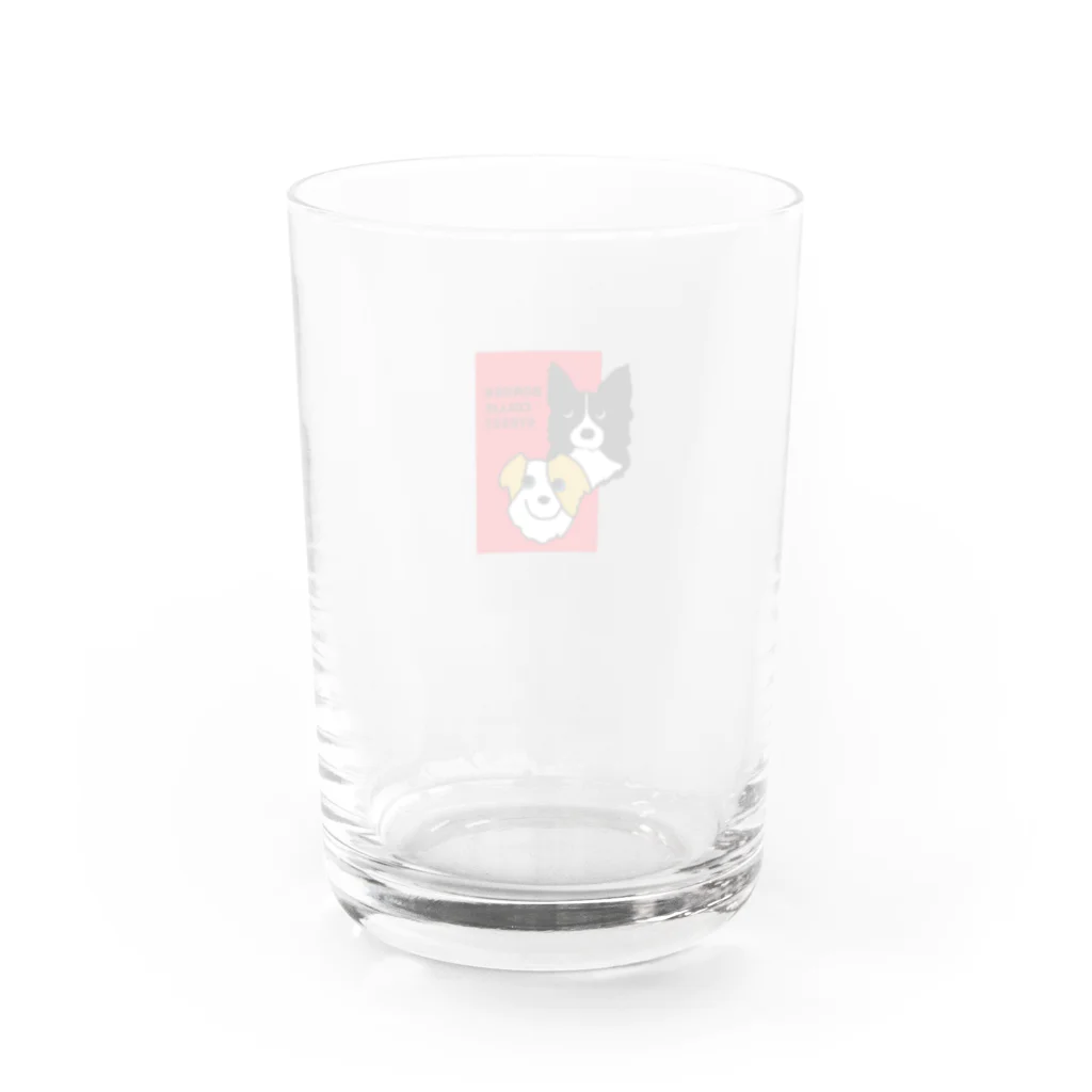 Bordercollie StreetのSKN-BCS1 Water Glass :back