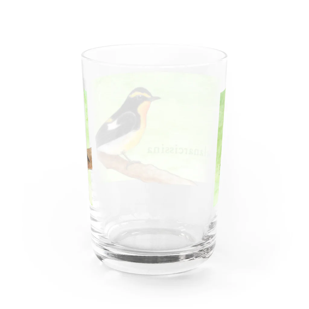 群緑の森（ぐんろくのもり）の新緑のキビタキ Water Glass :back