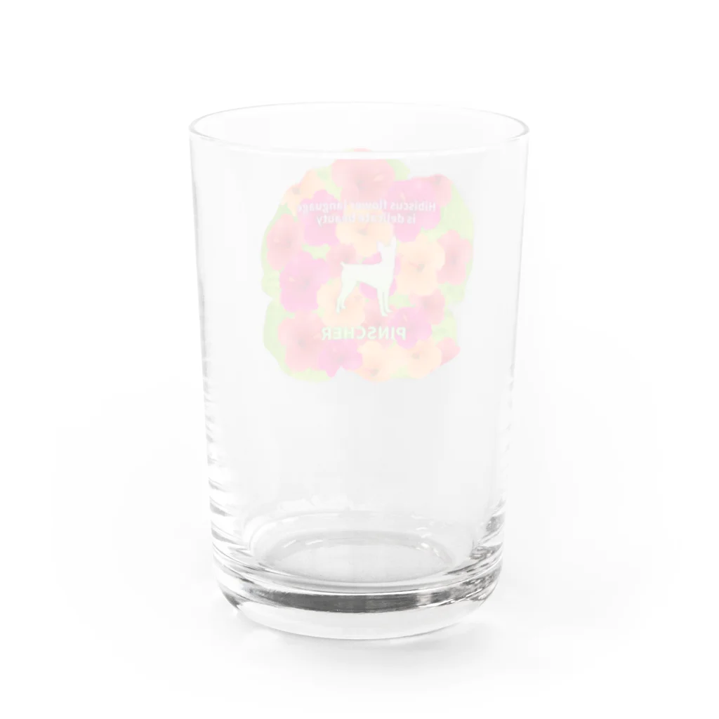 onehappinessのピンシャー　hibiscus　花言葉　onehappiness Water Glass :back