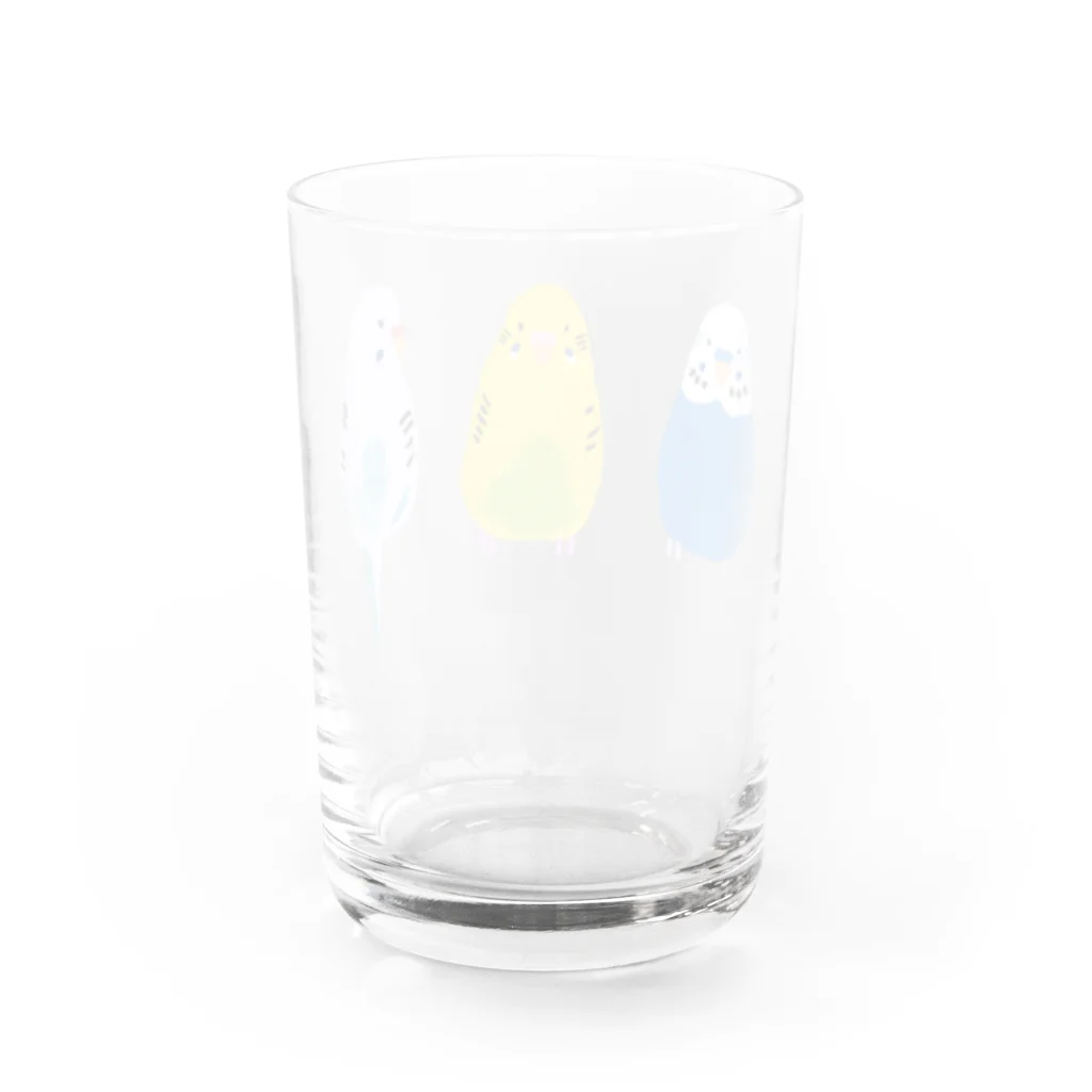 yomoyomo_yomogiのセキセイインコ_C Water Glass :back