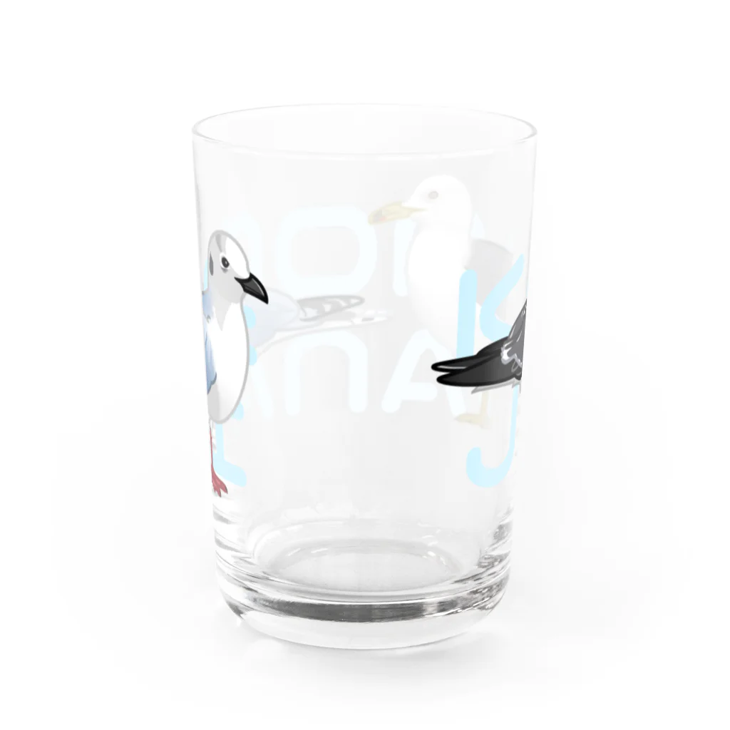 やちよ｜リアル鳥イラストのKAMOMEJYANAI～ズグロカモメさんとウミネコさん～ Water Glass :back