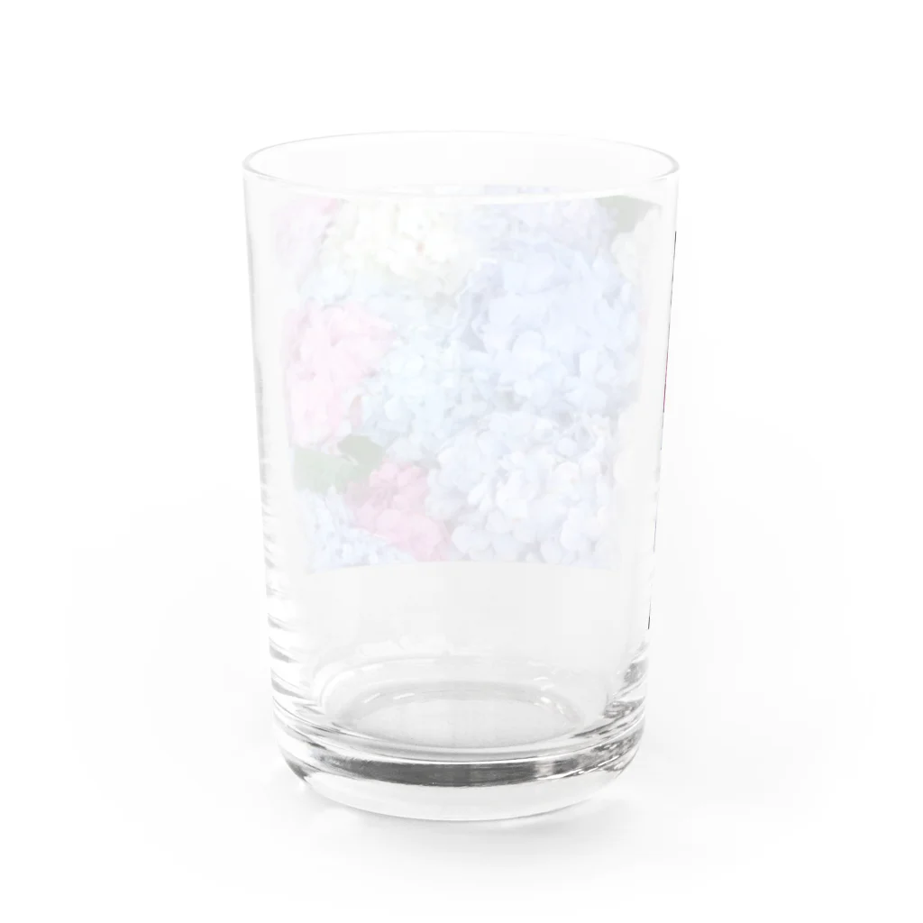 じょにーの紫陽花 Water Glass :back