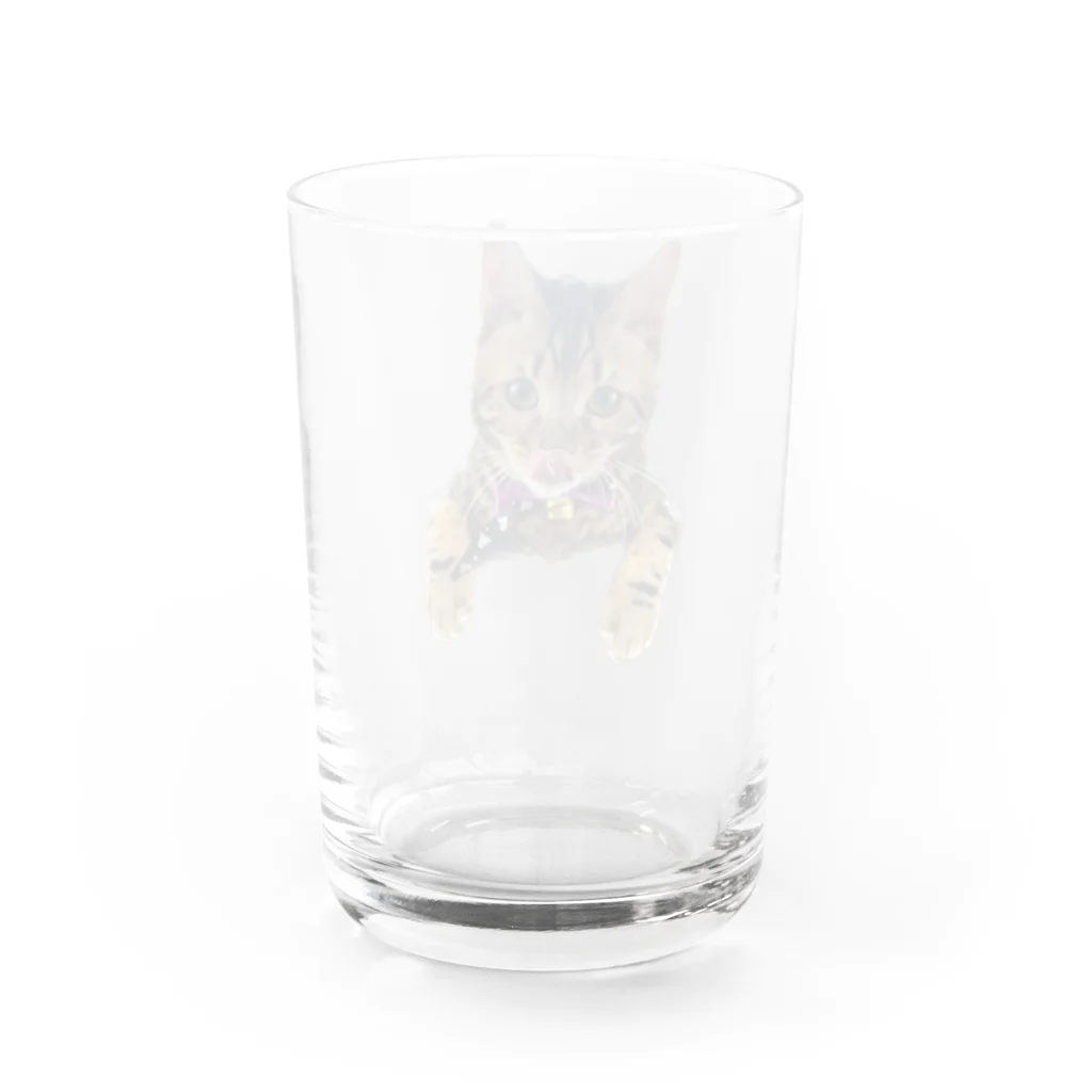 いくママ 猫との毎日のペロリンおむすび Water Glass :back