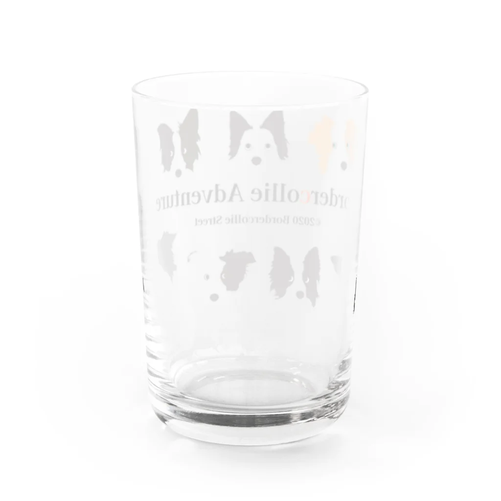 Bordercollie Streetの7 Border Collies-1 Water Glass :back