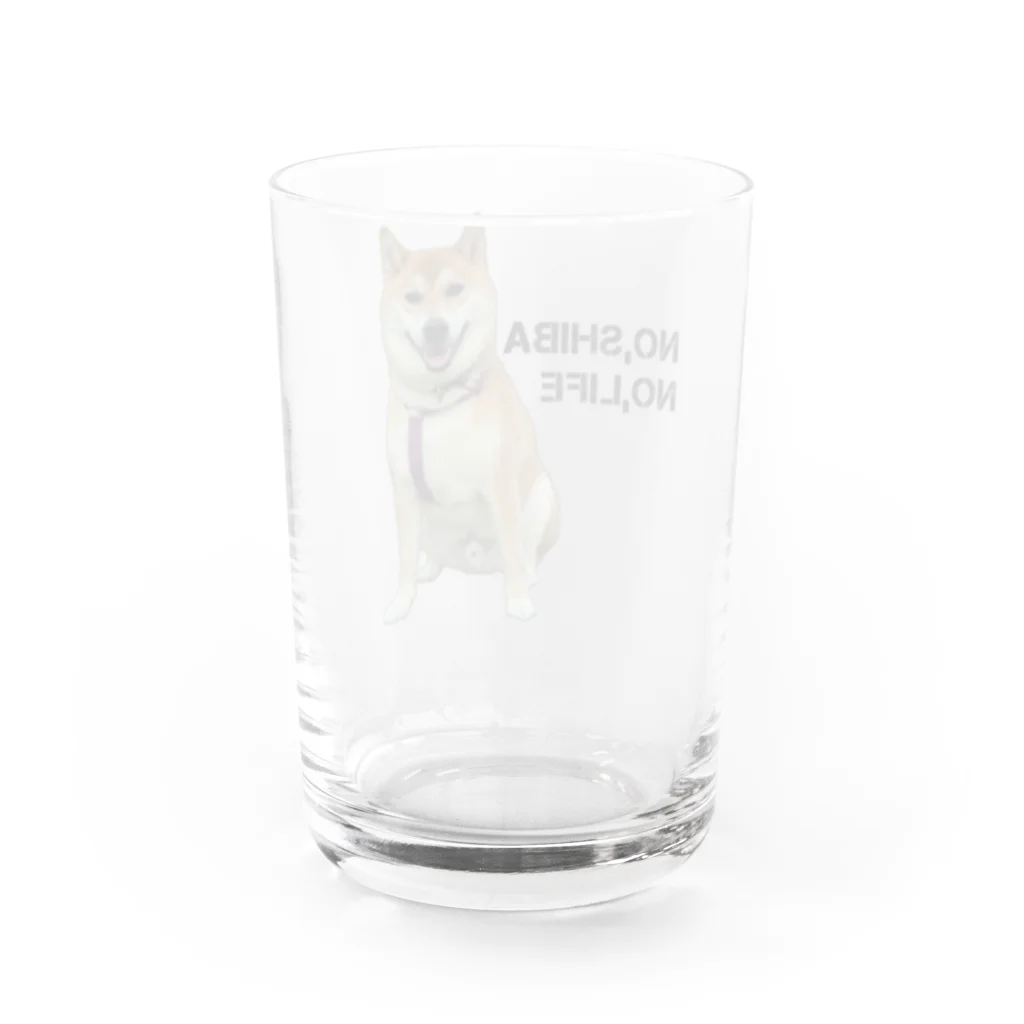 SHIBAOOOOOのNO,SHIBA NO,LIFE 柴生くん Water Glass :back