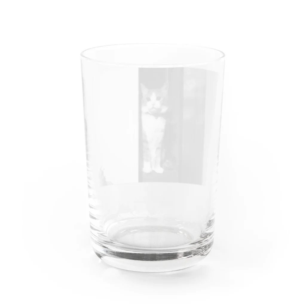 エモチル猫のゆず店長の実家猫押入れチルアウト Water Glass :back