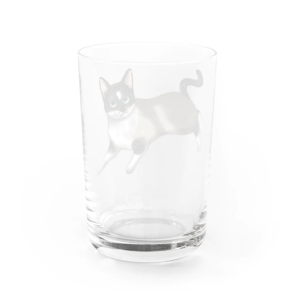 縁-yukari-のみゅう Water Glass :back