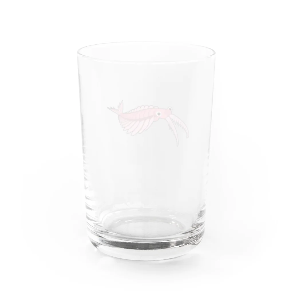 puikkoの古生物　アノマロカリス2 Water Glass :back