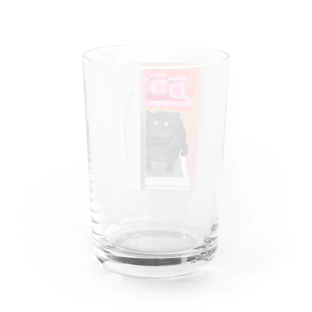 GOOD VIBES CATSのGOOD VIBES CATS refrigerator Water Glass :back