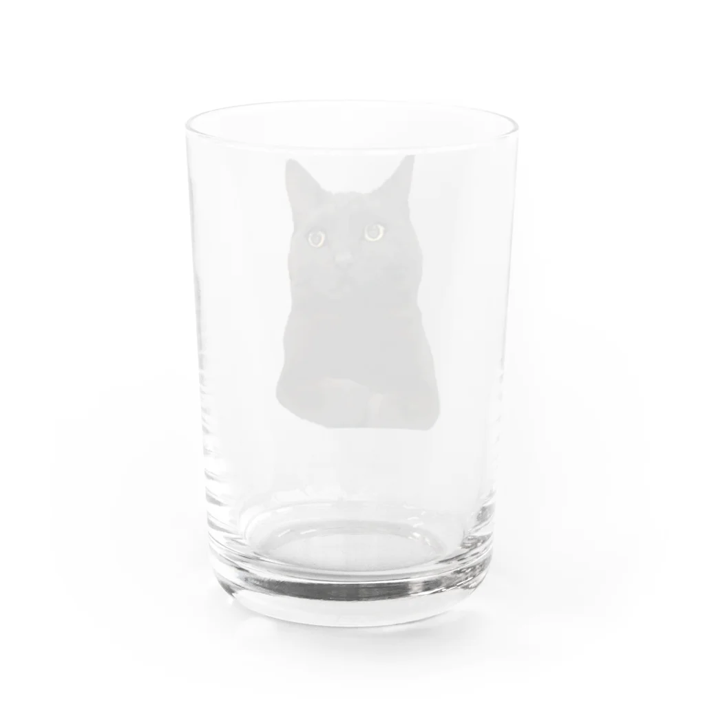 MKPoppp! shopのぼんやり黒猫 Water Glass :back