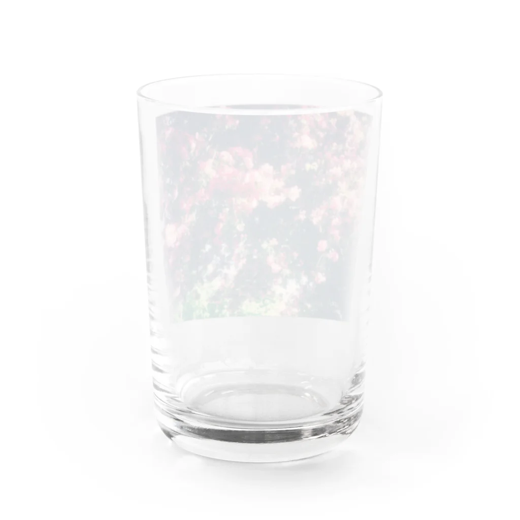 Let's Go for a Walkのromantic flower Water Glass :back