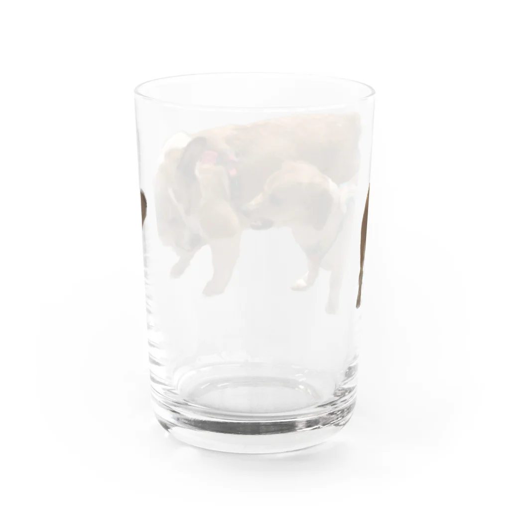 highly competitive dogs shopのバトル毛玉 Water Glass :back