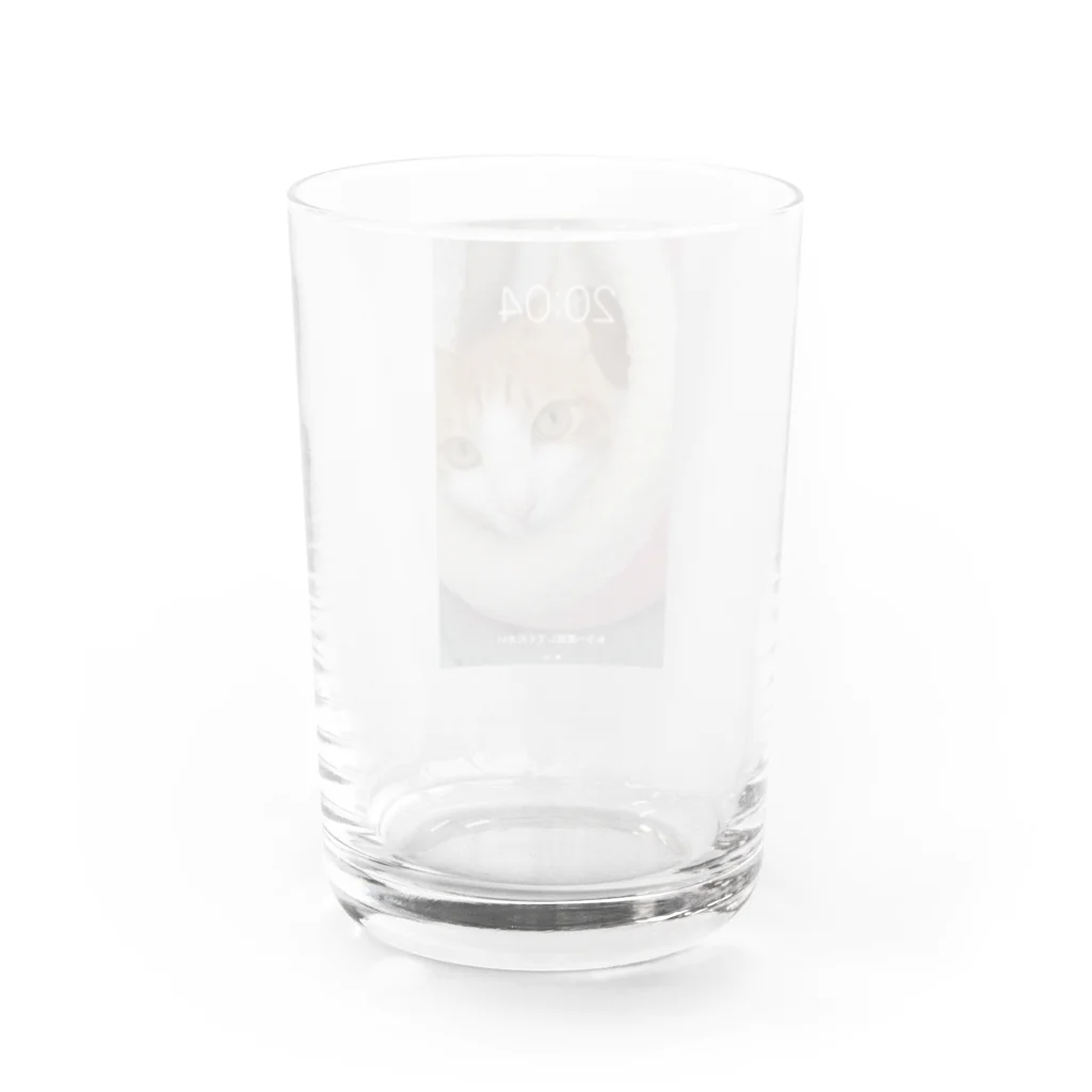 ももがいっぱいショップ　ネコのカメラ目線もも　ネコ Water Glass :back