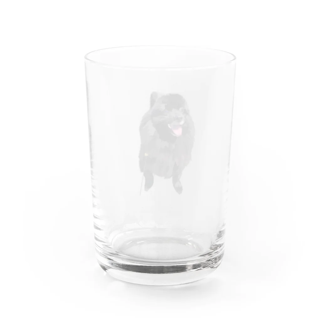 kanakoto24の黒ポメのフクちゃん Water Glass :back