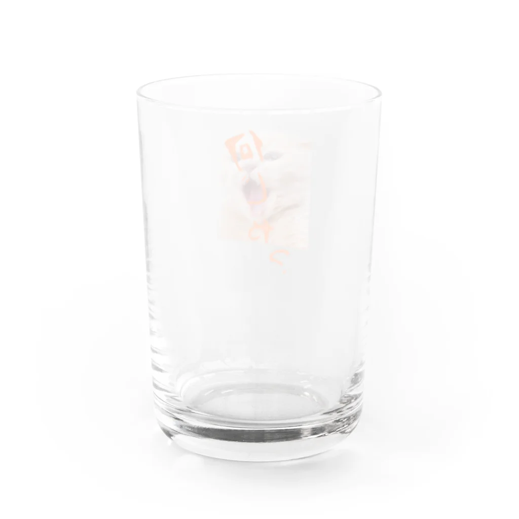 ここあまるのなんじゃ？ Water Glass :back