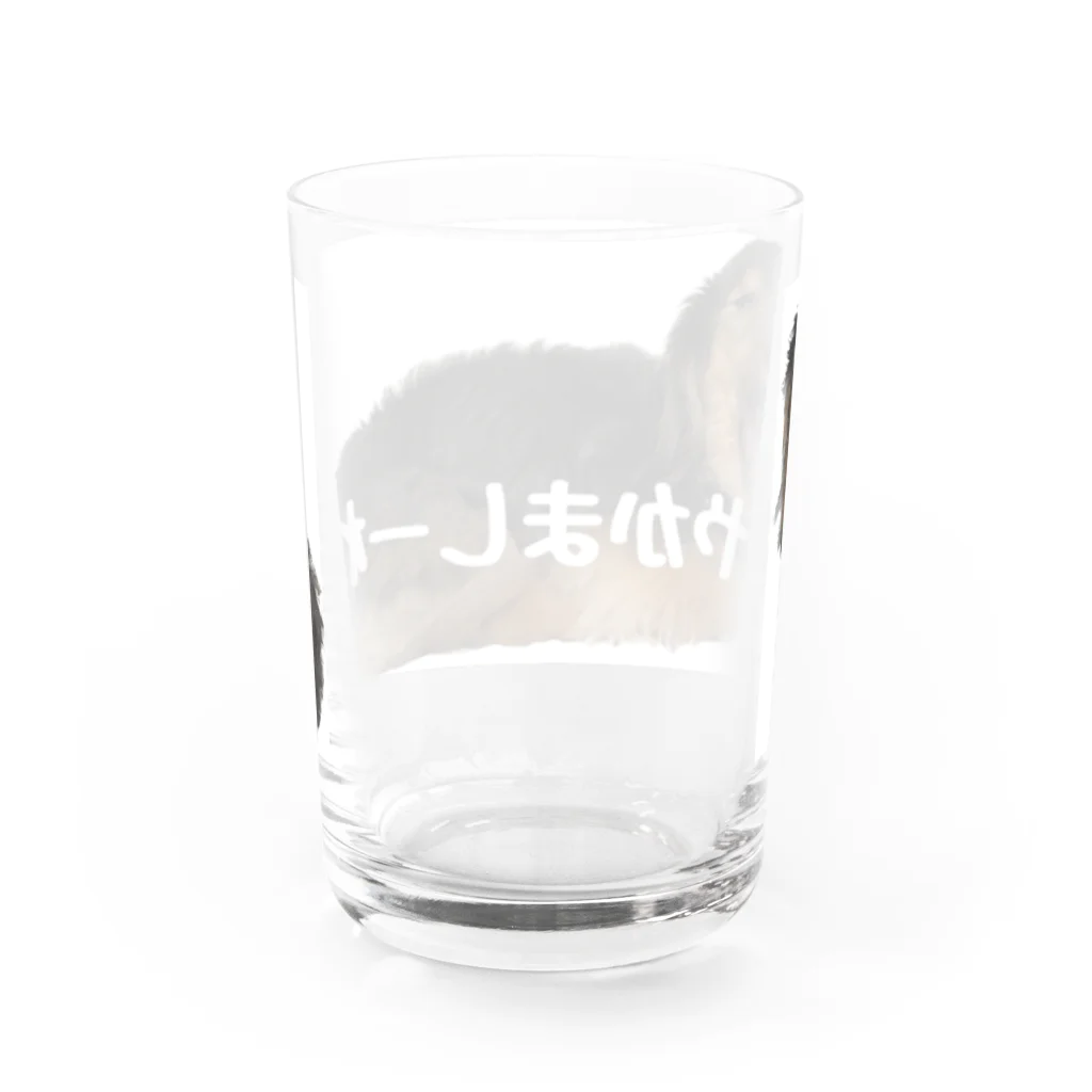 あなぐらのあなぐま会長 心の叫び【やかましーわ】 Water Glass :back