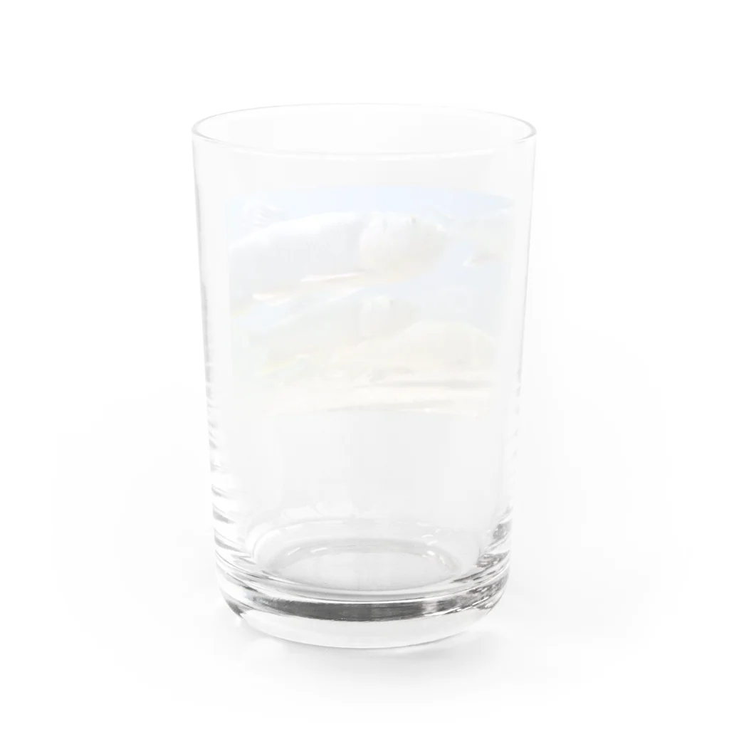 うきごりの琵琶湖の魚たち~ハスとニゴイ Water Glass :back