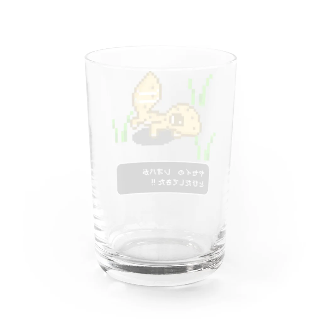 ラプトルのドットのレオパ君 Water Glass :back