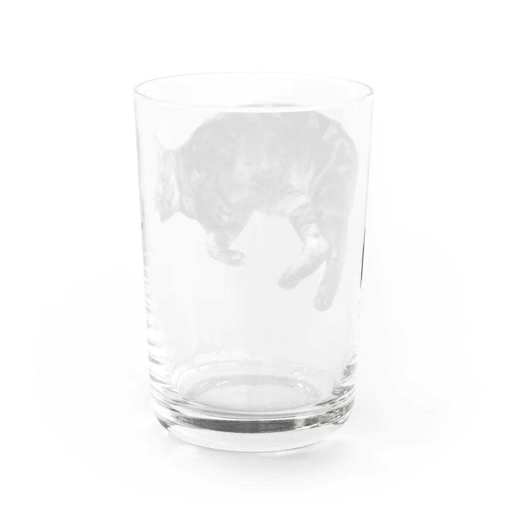 アメショーのひめちゃんのアメショーのひめちゃん⑥ Water Glass :back