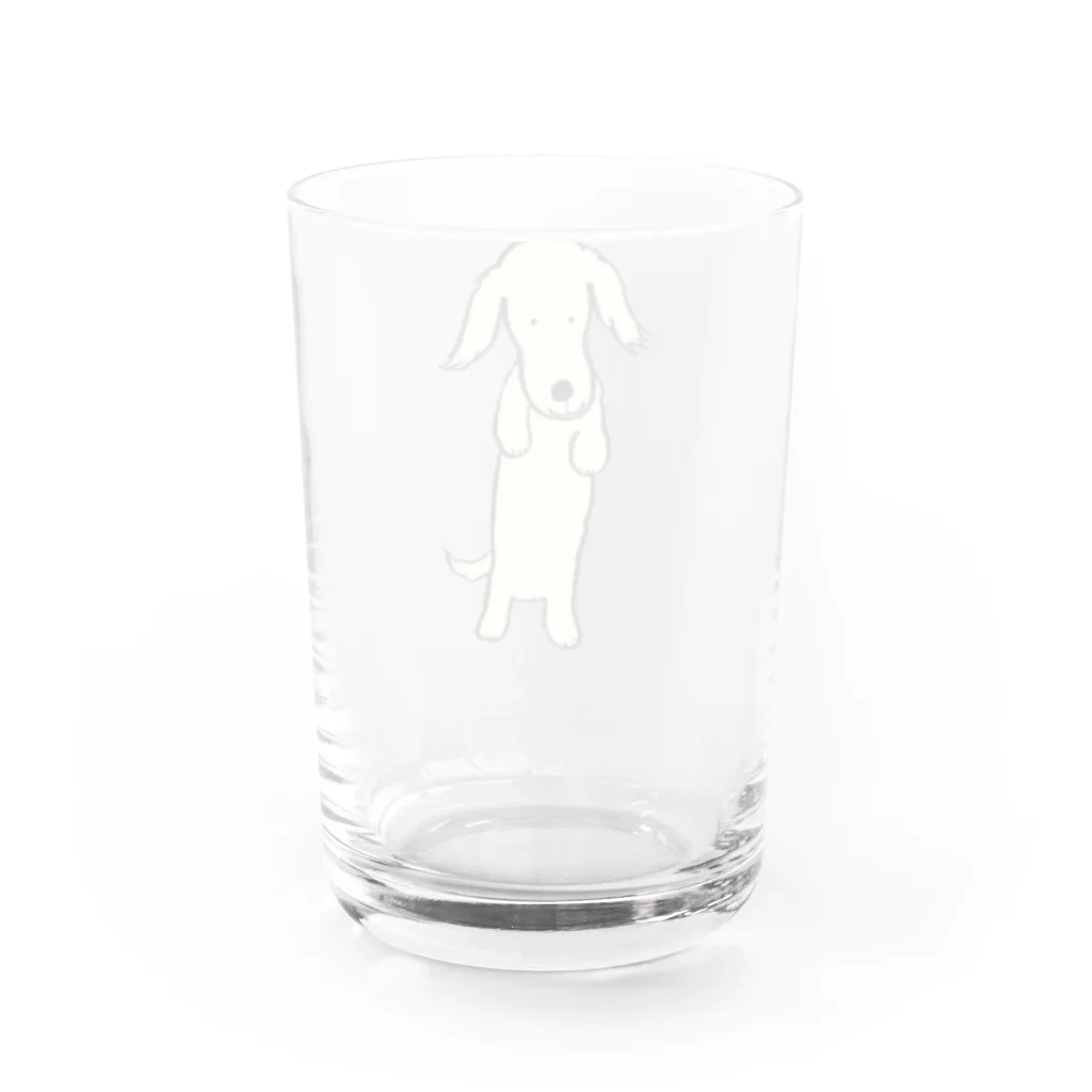 paritoraのミニチュアダックスのハニ君立ち姿カラー Water Glass :back