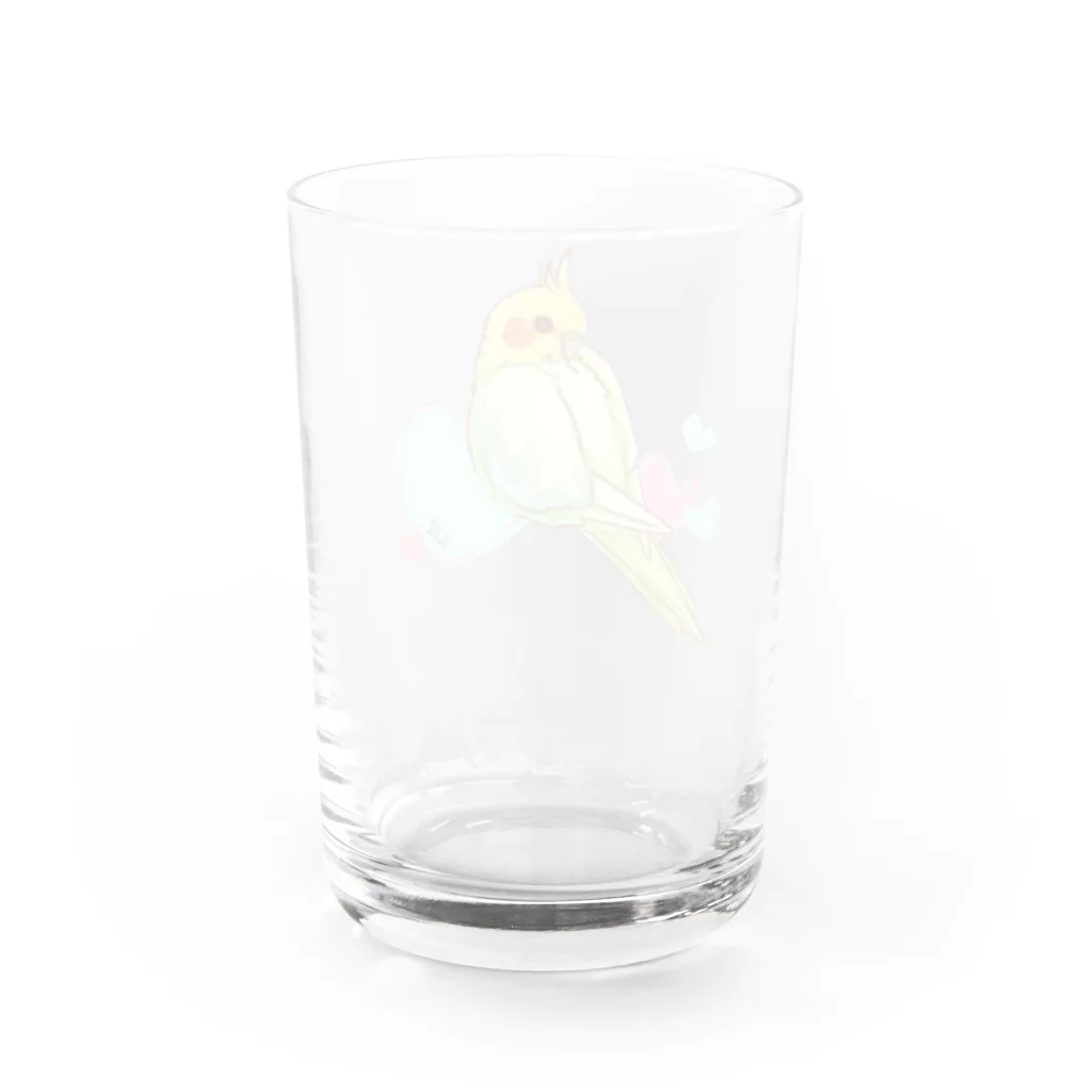 らる_haruの見返りオカメインコ Water Glass :back